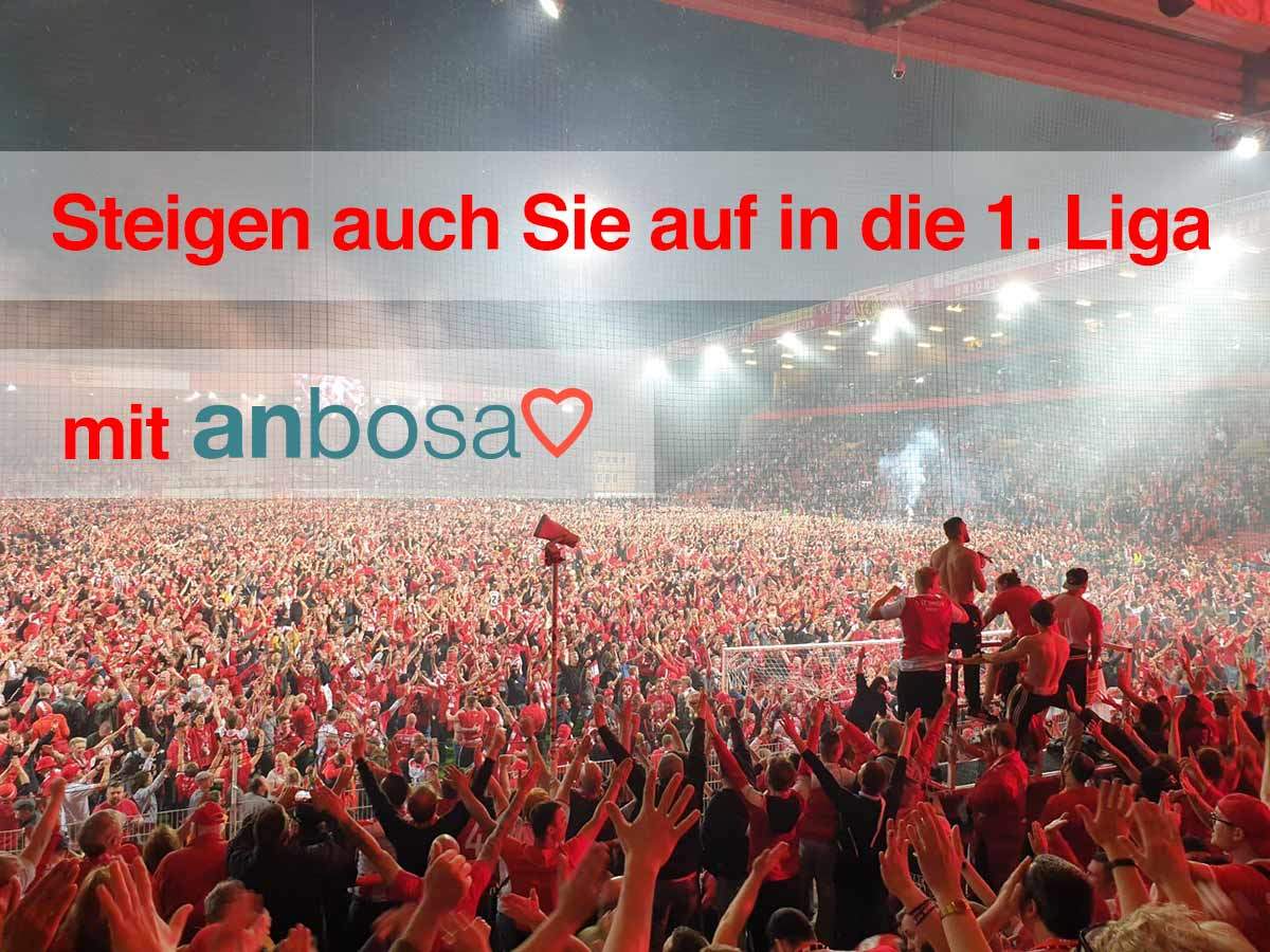 Steigen auch Sie auf in die 1. Liga mit anbosa