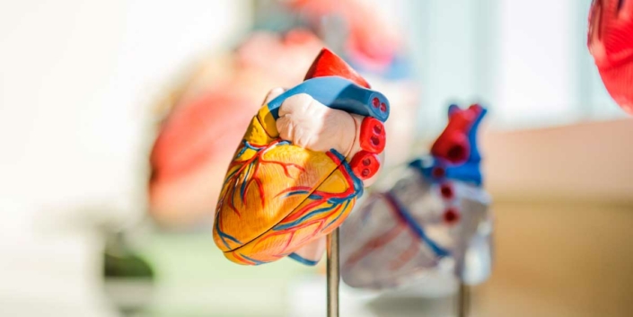 Die stille Gefahr für Pflegekräfte: Herz-Kreislauf-Erkrankungen