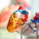 Die stille Gefahr für Pflegekräfte: Herz-Kreislauf-Erkrankungen